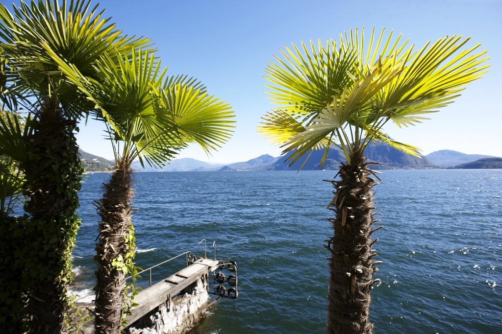 Villa Camelia Verbania Eksteriør billede